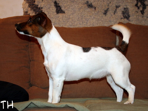 090120 Sissi.JPG - Sissi 10 kk